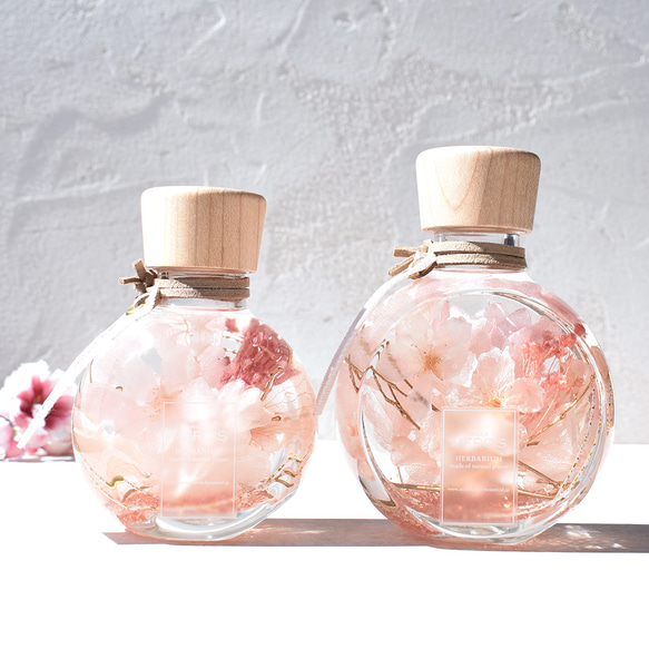 本物のさくら【桜ハーバリウム】『NATURAL SCENE』桜・悠久の時　＊メッセージカード無料 人気・おすすめ｜使いやすい・旅行におすすめ 品質保証 全国発送 日本国内発送・最短翌日お届け