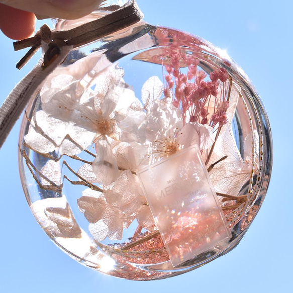 本物のさくら【桜ハーバリウム】『NATURAL SCENE』桜・悠久の時　＊メッセージカード無料 人気・おすすめ｜使いやすい・旅行におすすめ 品質保証 全国発送 日本国内発送・最短翌日お届け