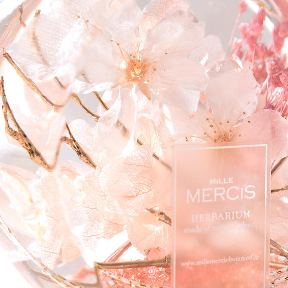 本物のさくら【桜ハーバリウム】『NATURAL SCENE』桜・悠久の時　＊メッセージカード無料 人気・おすすめ｜使いやすい・旅行におすすめ 品質保証 全国発送 日本国内発送・最短翌日お届け