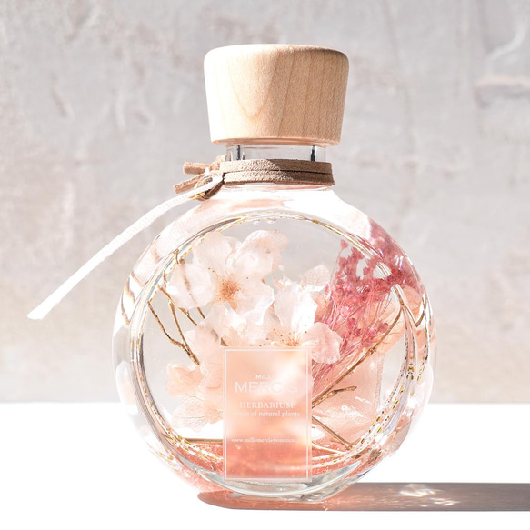 本物のさくら【桜ハーバリウム】『NATURAL SCENE』桜・悠久の時　＊メッセージカード無料 人気・おすすめ｜使いやすい・旅行におすすめ 品質保証 全国発送 日本国内発送・最短翌日お届け