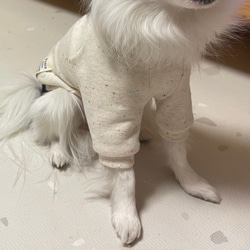 ハンドメイド犬服　カラーネップ　トレーナー 5枚目の画像