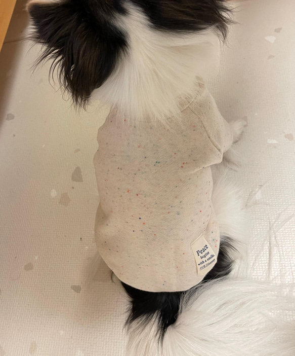 ハンドメイド犬服　カラーネップ　トレーナー 3枚目の画像