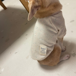 ハンドメイド犬服　カラーネップ　トレーナー 4枚目の画像