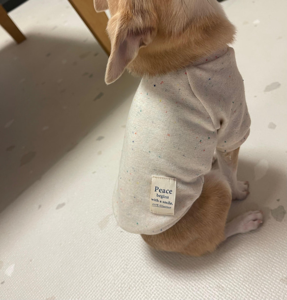 ハンドメイド犬服　カラーネップ　トレーナー 4枚目の画像