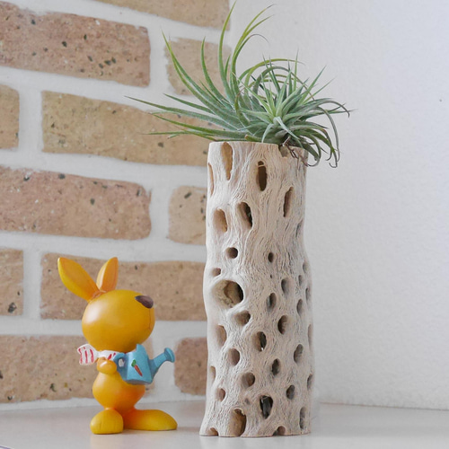 サボテンの骨　インテリア　カクタスウッド　カクタスボーン　ラダー　3本セット サボテンの骨 3個セット カクタススケルトン カクタスボーン サイズ約