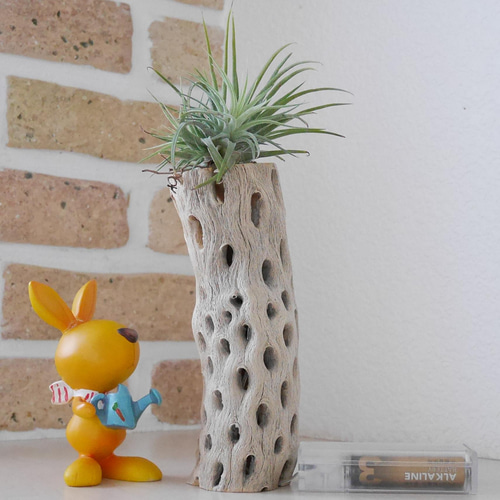 天然木 ライト No3 サボテンの骨&LED照明 カクタススケルトン ランプ