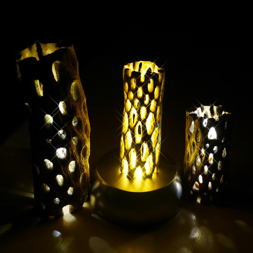 天然木 ライト No3 サボテンの骨&LED照明 カクタススケルトン ランプ