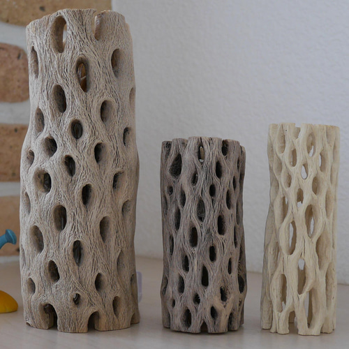 サボテンの骨　インテリア　カクタスウッド　カクタスボーン　ラダー　3本セット 楽天市場】【お買い得】サボテンの骨 3個セット【カクタススケルトン