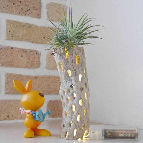 天然木 ライト No3 サボテンの骨&LED照明 カクタススケルトン ランプ