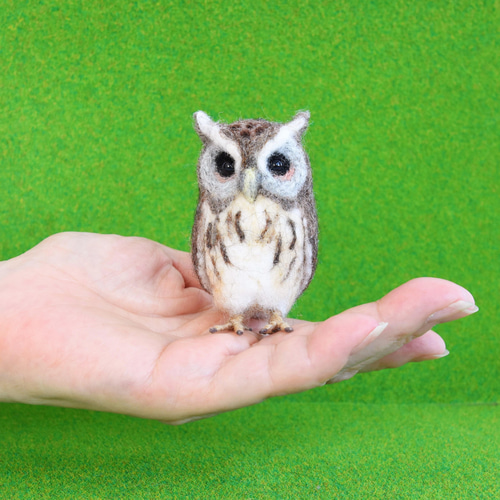プレゼントとまり木付き！】羊毛置物ふくろうさん【種類: ヒガシオオ 