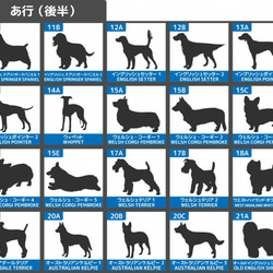 犬　ステッカー　サーフ　波乗り　ハワイ　車ステッカー　かわいい　かっこいい　おしゃれ　シール　Mサイズ　039dm 6枚目の画像