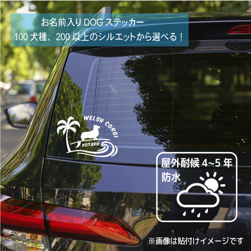 犬 ステッカー 車 波乗り ハワイ 車ステッカー かわいい かっこいい 