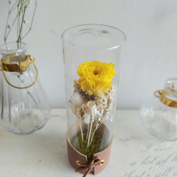 ラナンキュラスのボトルflower*イエロー《お部屋のインテリアや贈り物にも◎植物標本》 3枚目の画像