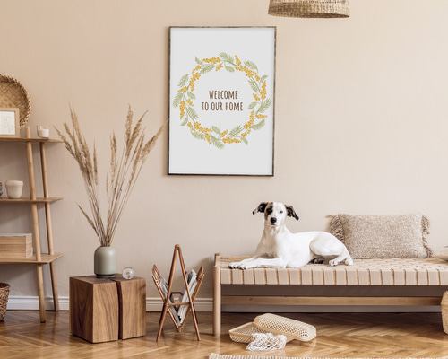 6c570d3da32ae7a67604c8811e2abd