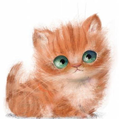 送料無料】A3・A4ポスター【宝石のような猫の目（ブラウン）】キャッツ