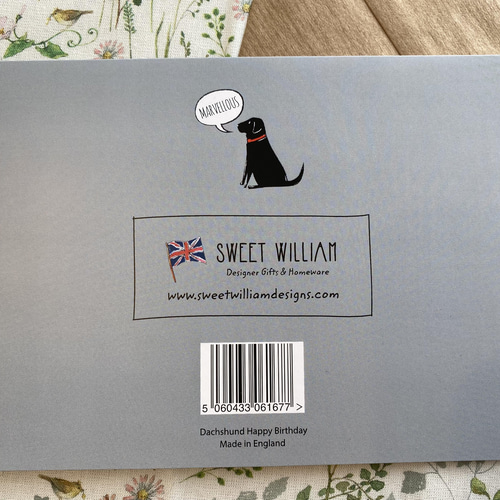 新商品！犬好きの方に！『【SWEET WILLIAM/イギリス