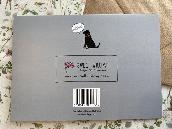 新商品！犬好きの方に！『【SWEET WILLIAM/イギリス】グリーティングカード 』～ダックスフント～ 4枚目の画像
