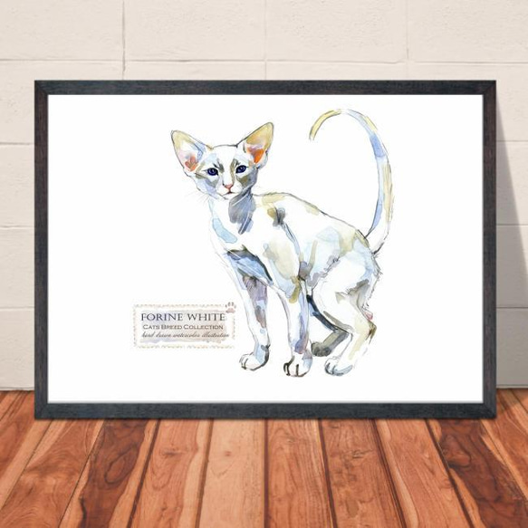 【送料無料】A3・A4ポスター【Cats Breed Collection フォーリンホワイト】猫/ネコ/インテリア/ 1枚目の画像