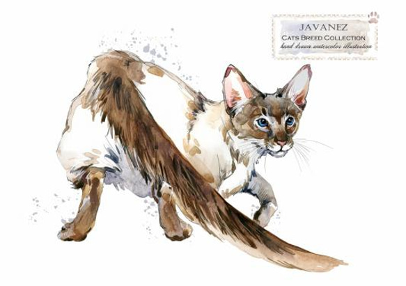 【送料無料】A3・A4ポスター【Cats Breed Collection JAVANEZ】猫/ネコ/インテリア/ 2枚目の画像