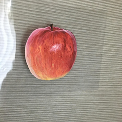 りんご　水彩画　L判フレーム付き 4枚目の画像