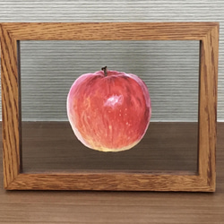りんご　水彩画　L判フレーム付き 2枚目の画像