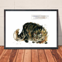 【送料無料】A3・A4ポスター【Cats Breed Collectionノルウェージャン・フォレストキャット】猫/ネコ 1枚目の画像