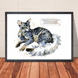 【送料無料】A3・A4ポスター【Cats Breed Collection オリエンタルロングヘア】猫/ネコ/インテリア 1枚目の画像