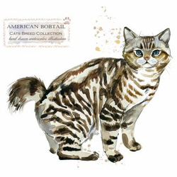 【送料無料】A3・A4ポスター【Cats Breed Collection アメリカンボブテイル 】猫/ネコ/インテリア 2枚目の画像