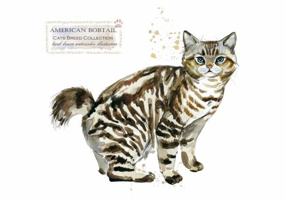 【送料無料】A3・A4ポスター【Cats Breed Collection アメリカンボブテイル 】猫/ネコ/インテリア 2枚目の画像