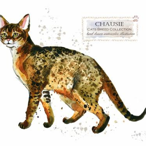 ⭐️猫たちA3ポスター 三猫倶楽部 A3リソグラフ ポスター 真夜中のおやつ：豆乳 – KISSA BOOKS