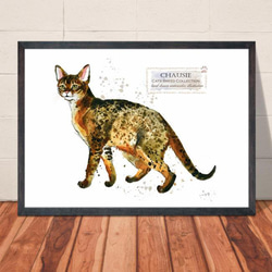 送料無料】A3・A4ポスター【Cats Breed Collection チャウシー】猫