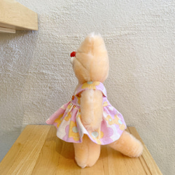 花柄ワンピースを着たオレンジシャーベット猫さん 2枚目の画像
