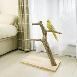 【流木の止まり木】鳥 インコ バードスタンド 3本枝で楽しく止まれるスリムタイプ 10枚目の画像
