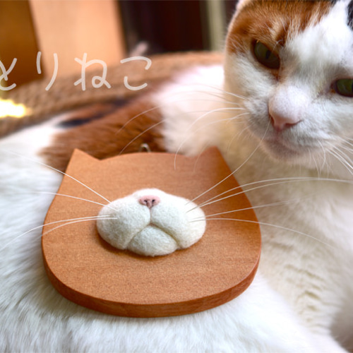 猫のひげ様 ひげまんじゅう みーさま スタンダード アミューズキャラコレ