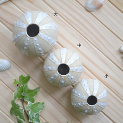 【花器】白(中)「貝ころり」 3枚目の画像