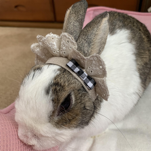 うさぎのメイドさんカチューシャ ペット服・アクセサリー こころ