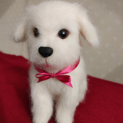 マルチーズ ぬいぐるみ のおすすめ人気通販 検索結果｜Creema(クリーマ