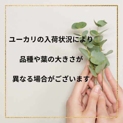 大人気！ミモザとユーカリのドライフラワースワッグ 母の日 ドライ