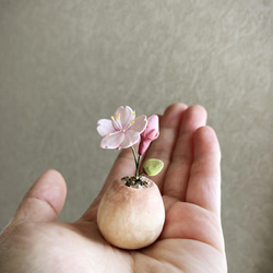 7145.bud 粘土の鉢植え サクラ 4枚目の画像