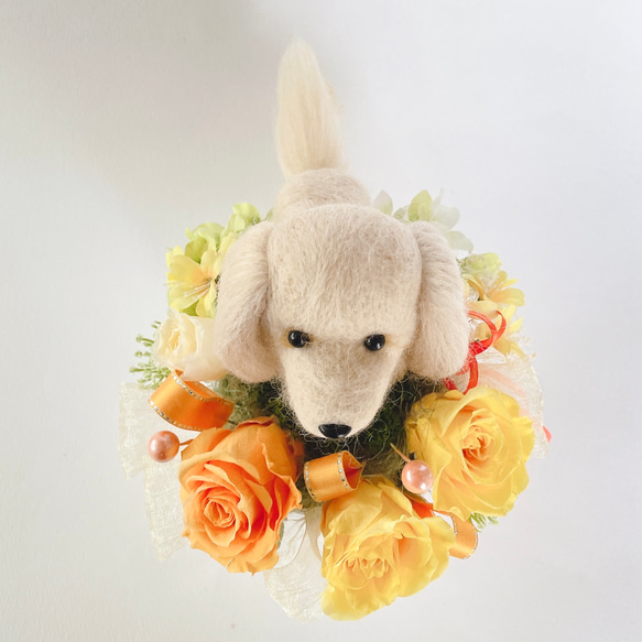 ダックスロング（クリーム）のプリザーブドフラワーアレンジメント(イエロー)　犬　母の日　花　お祝い　プレゼント　かわいい 4枚目の画像