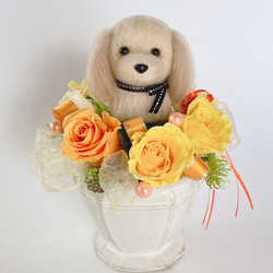 ダックスロング（クリーム）のプリザーブドフラワーアレンジメント(イエロー)　犬　母の日　花　お祝い　プレゼント　かわいい 1枚目の画像