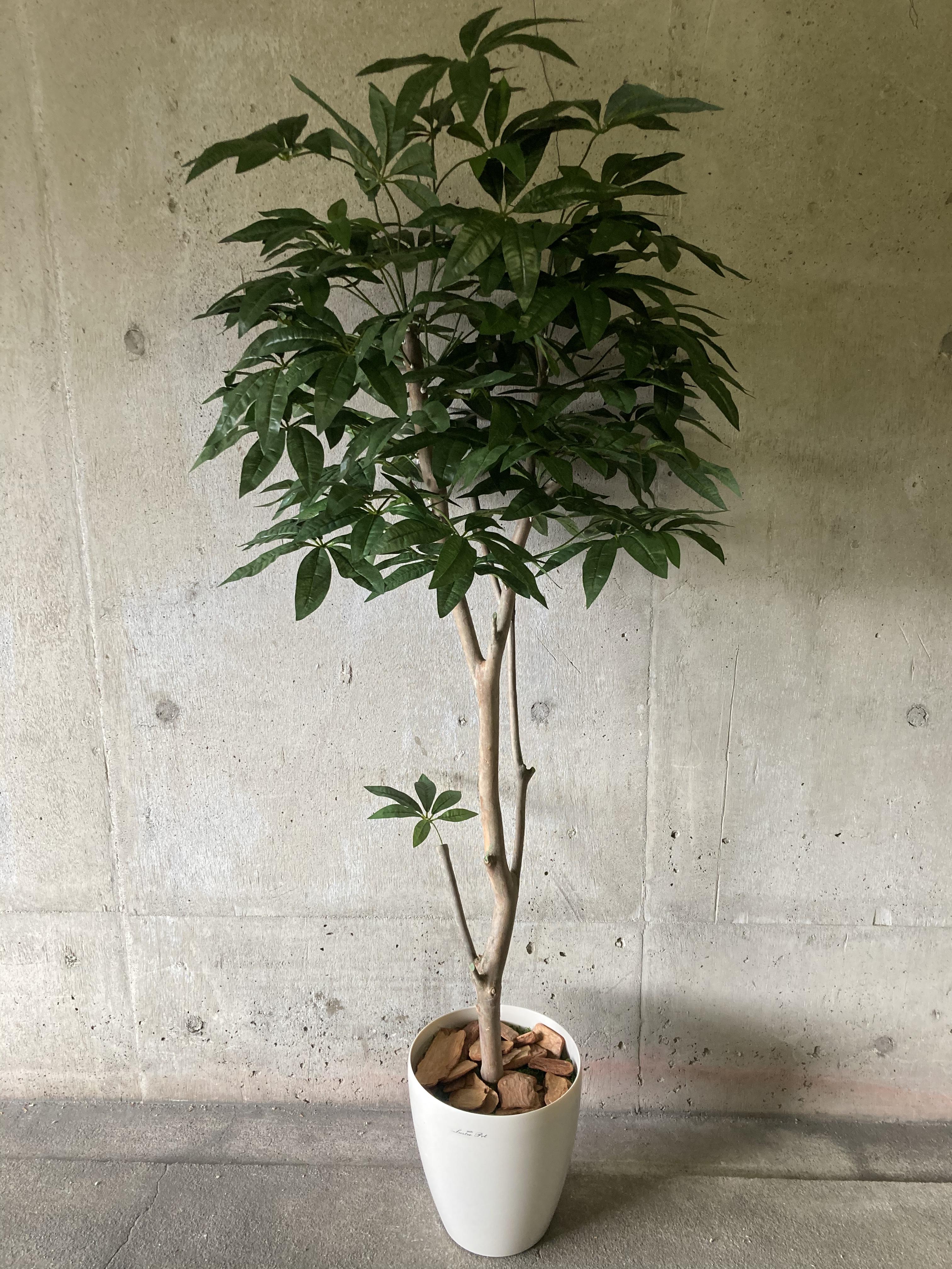 光触媒 人工観葉植物 ウォールグリーン フェイク アレンジ トネリコ133