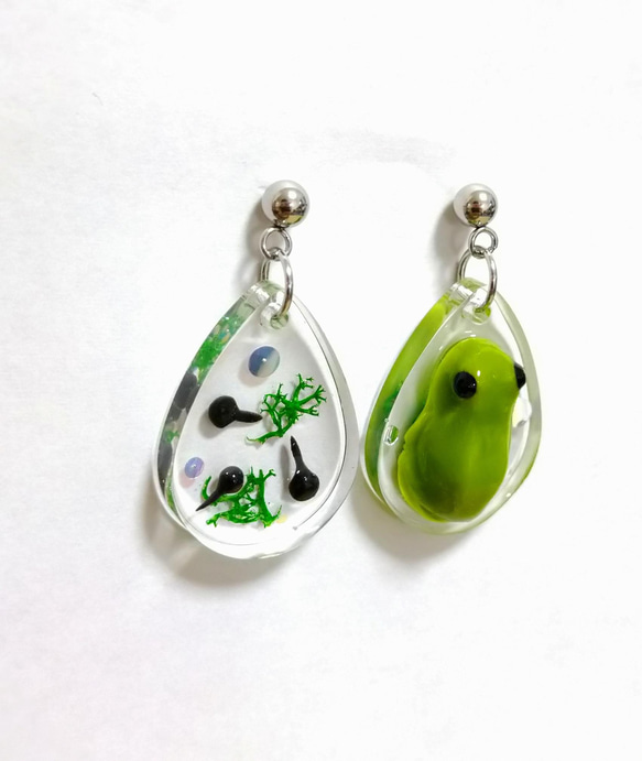 カエルとおたまじゃくしのピアス(イヤリング変更可) ピアス（スタッド