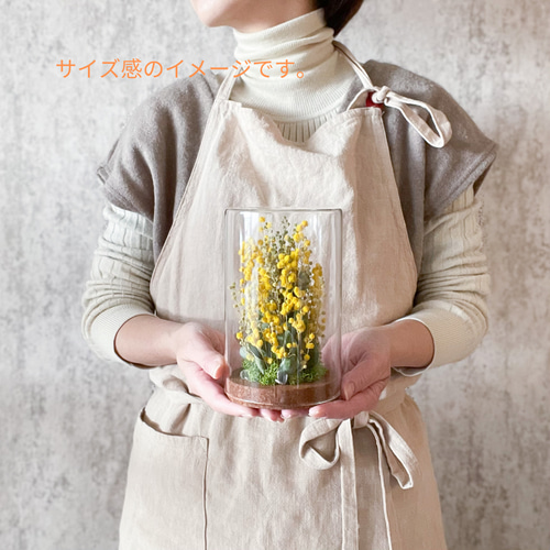 ミモザのガラスドーム Ⅲ ドライフラワー 華の人 Occhi 通販 ミモザのガラスドーム Ⅲ ドライフラワー 華の人 Occhi 通販