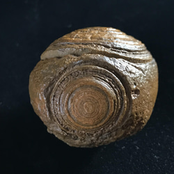ゴビ石−836 眼石　原石 パワースートン 8枚目の画像