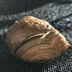 ゴビ石−836 眼石　原石 パワースートン 3枚目の画像