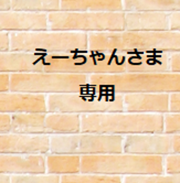 えーちゃん様　専用です 1枚目の画像