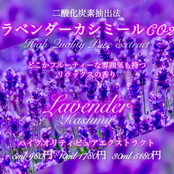 原生種 真菰(まこも)の新芽 苗 3本 (育て方の説明書付き)】 その他素材