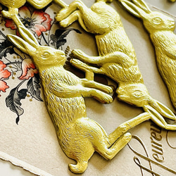 德國 Cromos 兔 1 張（24 件）| 金色 第2張的照片