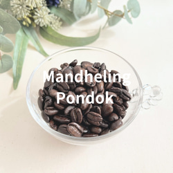 マンデリン ポンドック  コーヒー豆  200g 1枚目の画像